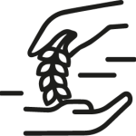 Transmission Petits Moulins de France Transmission d'un moulin Petits Moulins de France