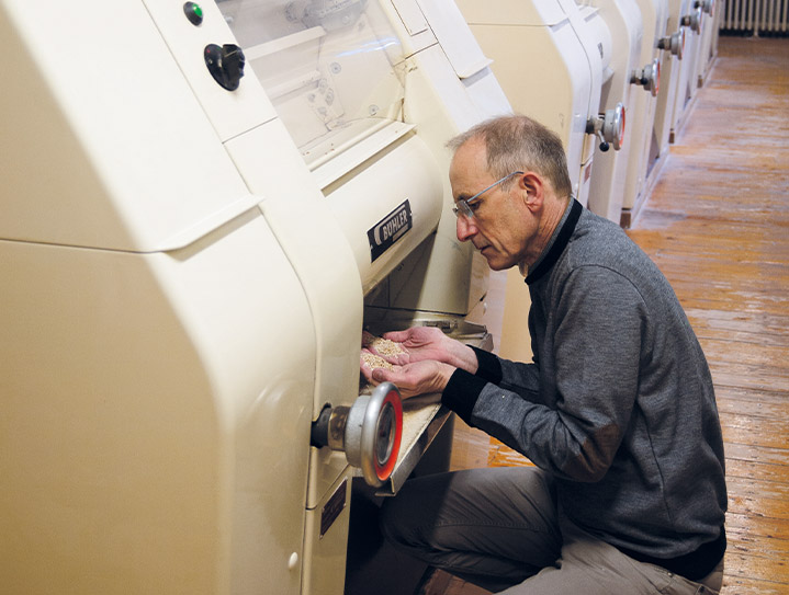 Denis Danrée, Moulins de Vincelottes