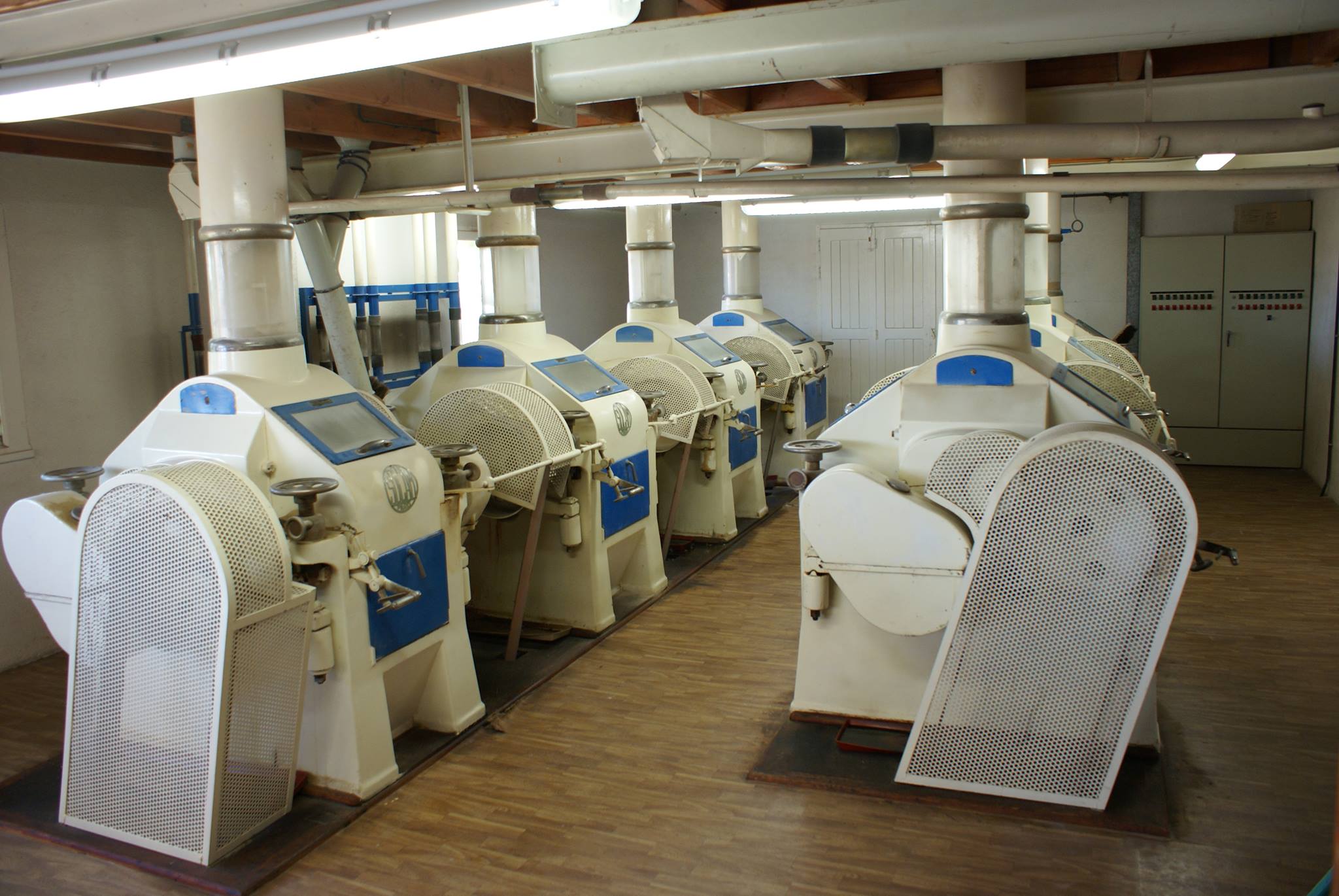 Fabrication de Farine artisanale à la minoterie Baudin-Allard, le moulin de Marsais