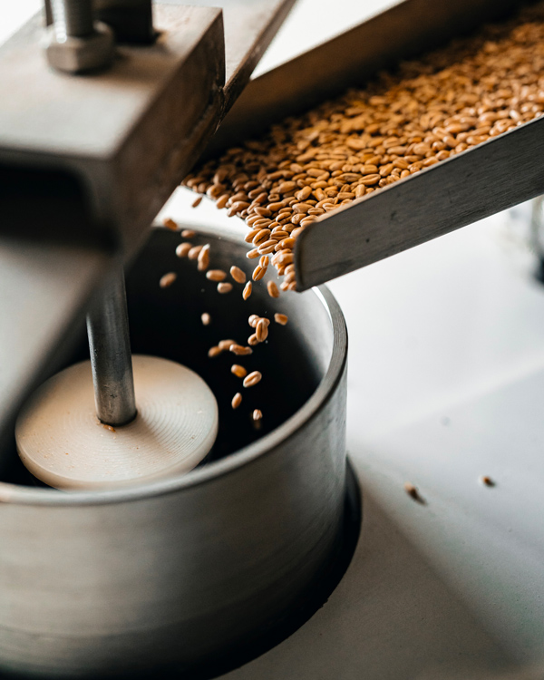 Blé du Moulin du Courneau - Le Comptoir des Farines